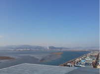 [포토] 부산 낙동강하구, 생태관광지역으로 선정