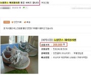 뉴발란스 체리블라썸 중고장터서 20만원에 판매 너무해
