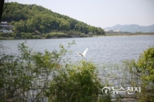 [아산] 신정호 야외수영장 내달 12일 개장