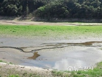 [포토] 찜통더위에 바닥 드러낸 원주 문막 반계저수지