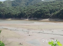 [포토] 반계저수지도 못 견딘 찜통더위