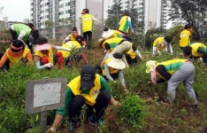 깨끗해진 산책로… 용정공원으로 놀러오세요