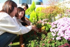 현대차, 서울역 고가에 꽃밭 만든다