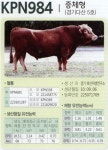 [경기도] 보증 씨수소 다산 5호 출시, 동결정액 한시적 무상 보급