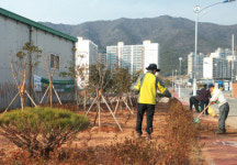 [해남] 읍내 모퉁이 숲 조성 완료