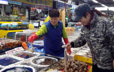 [경기-수원시] 농수산물도매시장, 2차 수산물 검사 적합 판정