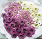 [꽃차와 건강] 접시꽃차