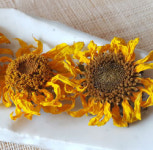 [꽃차와 건강] 해바라기꽃차