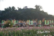 제61회 백제문화제, 공산성 아래 코스모스 물결