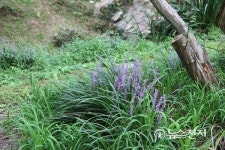 [글마루] 가사문학의 꽃 피운 담양 樓亭①