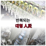 [카드뉴스] 반복되는 대형人災(인재)