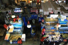 노량진수산시장 떠난 자와 남은 자