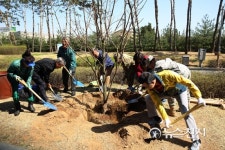 용산구, 제71회 식목일 나무심기 행사 열어