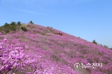 창원시 천주산, 나의 살던 고향은 꽃피는 산골