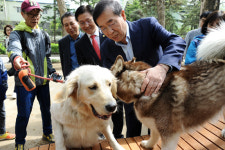 이젠 목줄 없이 신나게… 서울 보라매공원서 반려견 놀이터 개장