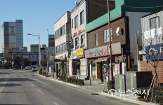 아산시, 전국체전 대비… 온천대로와 노령 가로수 갱신