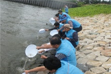 부산수산자원연, 동남참게 24만마리 방류