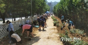 시흥시 월곶초·중교 사잇길 장미꽃길로 재탄생