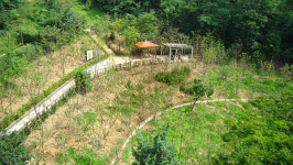 동작구, 현충근린공원 일대 산림생태계 복원