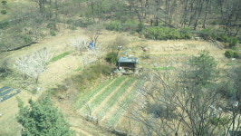 동작구, 현충근린공원 일대 산림생태계 복원