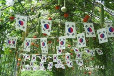 용산구, 단체·구민과 한마음으로 태극기 달기 운동 펼쳐
