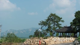 [영암] 모정행복마을 달빛 연꽃 축제 개최