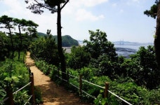 [안산] 시승격 30주년 대부해솔길 걷기행사 개최