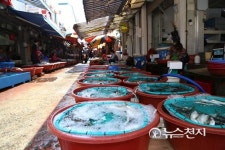 [르포] 콜레라 사태 종료 후… 임시휴업 거제 횟집 최악의 상태