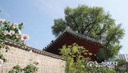 [종교 성지를 가다-수도권③] 한발 늦은 가을… 아직 푸르른 성균관을 거닐다