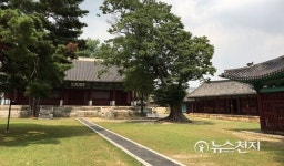 [종교 성지를 가다-수도권③] 한발 늦은 가을… 아직 푸르른 성균관을 거닐다