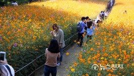 [영상산책] 가을빛으로 물든 올림픽공원 장미정원, 들꽃마루
