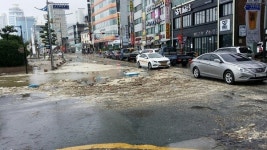 [부산] 수영구, 신속한 태풍 피해 복구에 총력
