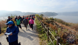 습지 중요성 알린다 우포늪 생명길 걷기대회