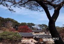 석파정에서 가을의 끝자락을 담다