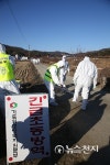 천안 동면 오리농장서 AI발생… 살처분 인력투입