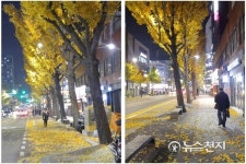 [부산] 서면 동천로 은행잎 길로 변해…