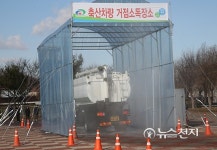 [천안] 광덕·성남·동면 AI 양성반응… 누적 133만 2500마리