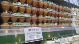 닭 죽으니 나도 죽겠다… 양계 농민 울상