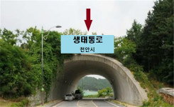 [천안] 금북정맥 생태축 연결공사 본격 추진