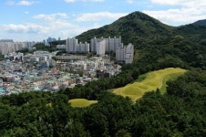 [부산] 연제구 연산동 고분군 국가사적 지정