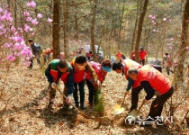 [울산] 편백나무야, 잘 자라렴