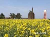 [제주] "유채꽃 너무 좋아요"