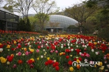 성남지역 역사·문화 탐방… 도시락(樂) 버스 운행