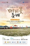 [신안] 슬로시티 신안, 삐비꽃 축제 대향연
