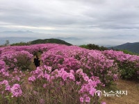 [경남] 불타는 황매산…철쭉반 구름반