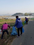 [안산] 대부동 흘곶마을 주민들, 마을대청소 실시