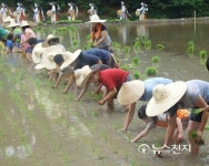 이순신 장군 묘소 위토서 모내기 해볼까