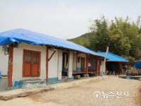 담양 우박 피해 농가 울상 재해보험도 가입 안 했는데…