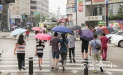 [천안] 반가운 단비