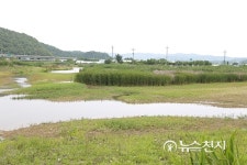 [천안] 27㎜ 소나기에 물이 고인 풍서천